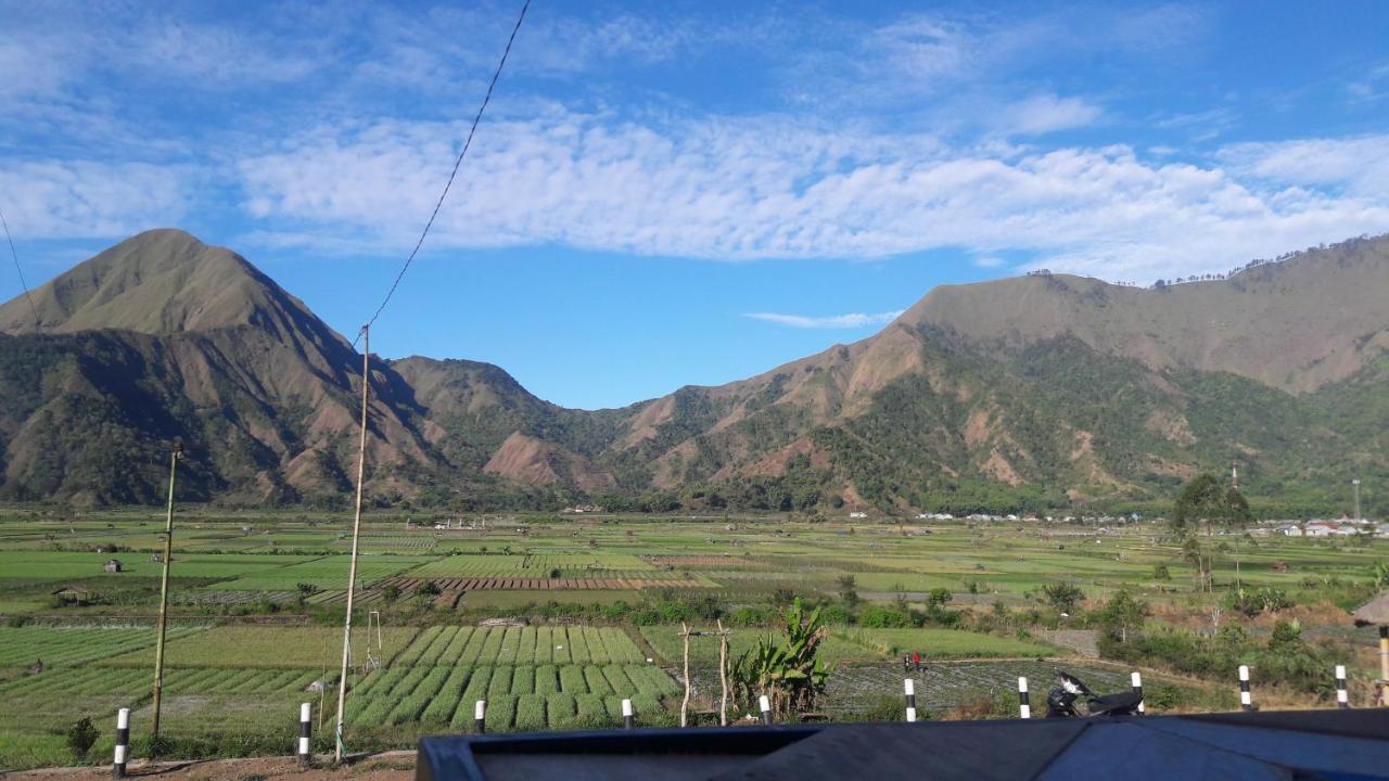 Rinjani Green Park Syariah Hotel Sembalunlawang Kültér fotó